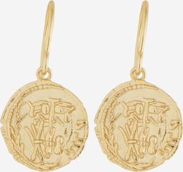 ANIA HAIE Earrings in Gold: front