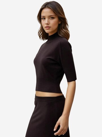 Pull-over Hiccup en marron