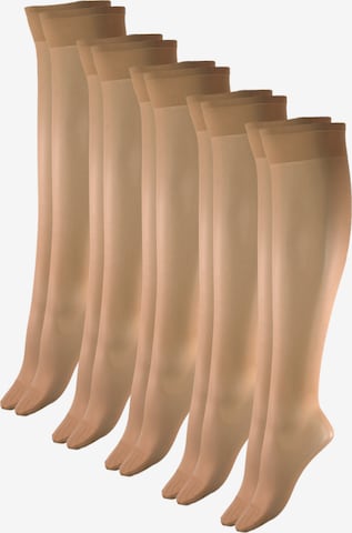 Esda Knee High Socks in Beige: front