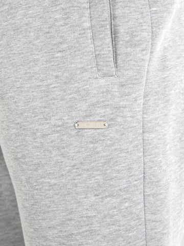 Effilé Pantalon 'Viktor' Smilodox en gris