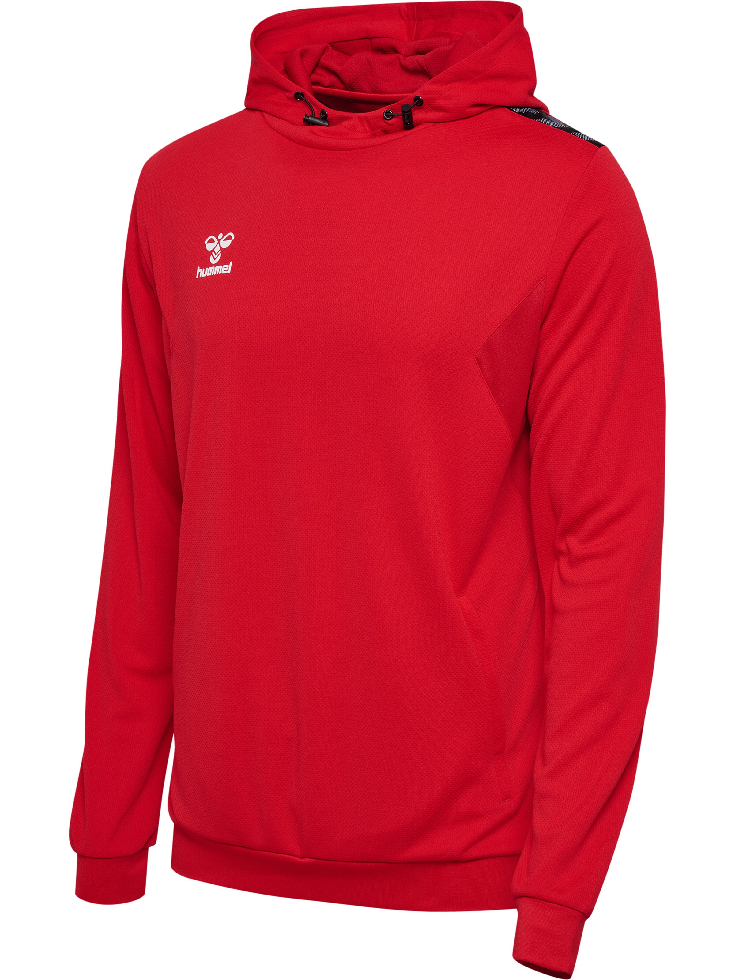 Hummel Athletic Sweatshirt 'Authentic PL' in Red