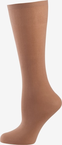 Nur Die Knee High Socks ' Cotton 60 DEN ' in Bronze: front