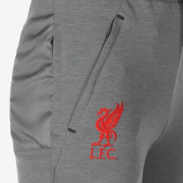 NIKE Tapered Workout Pants 'FC Liverpool Travel' in Grey