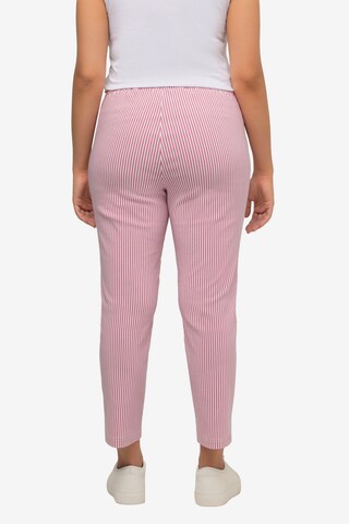 Ulla Popken Slimfit Hose in Lila