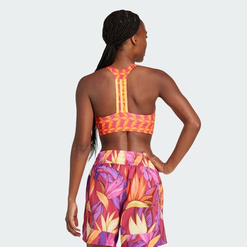 ADIDAS PERFORMANCE Bralette Sports bra 'Adidas x Farm Rio' in Orange