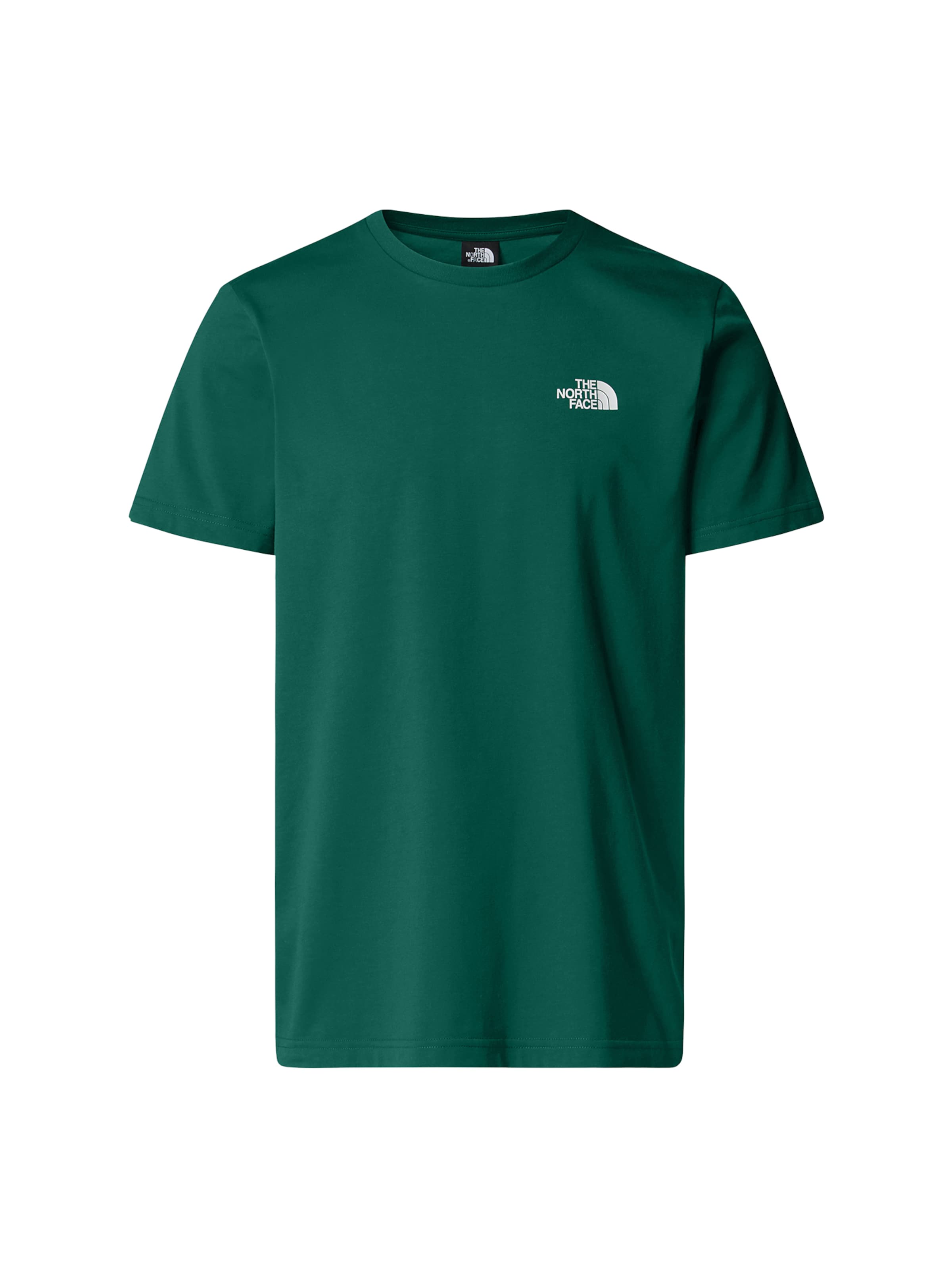 THE NORTH FACE Shirt 'Evolution Simple Dome' in Groen: voorkant