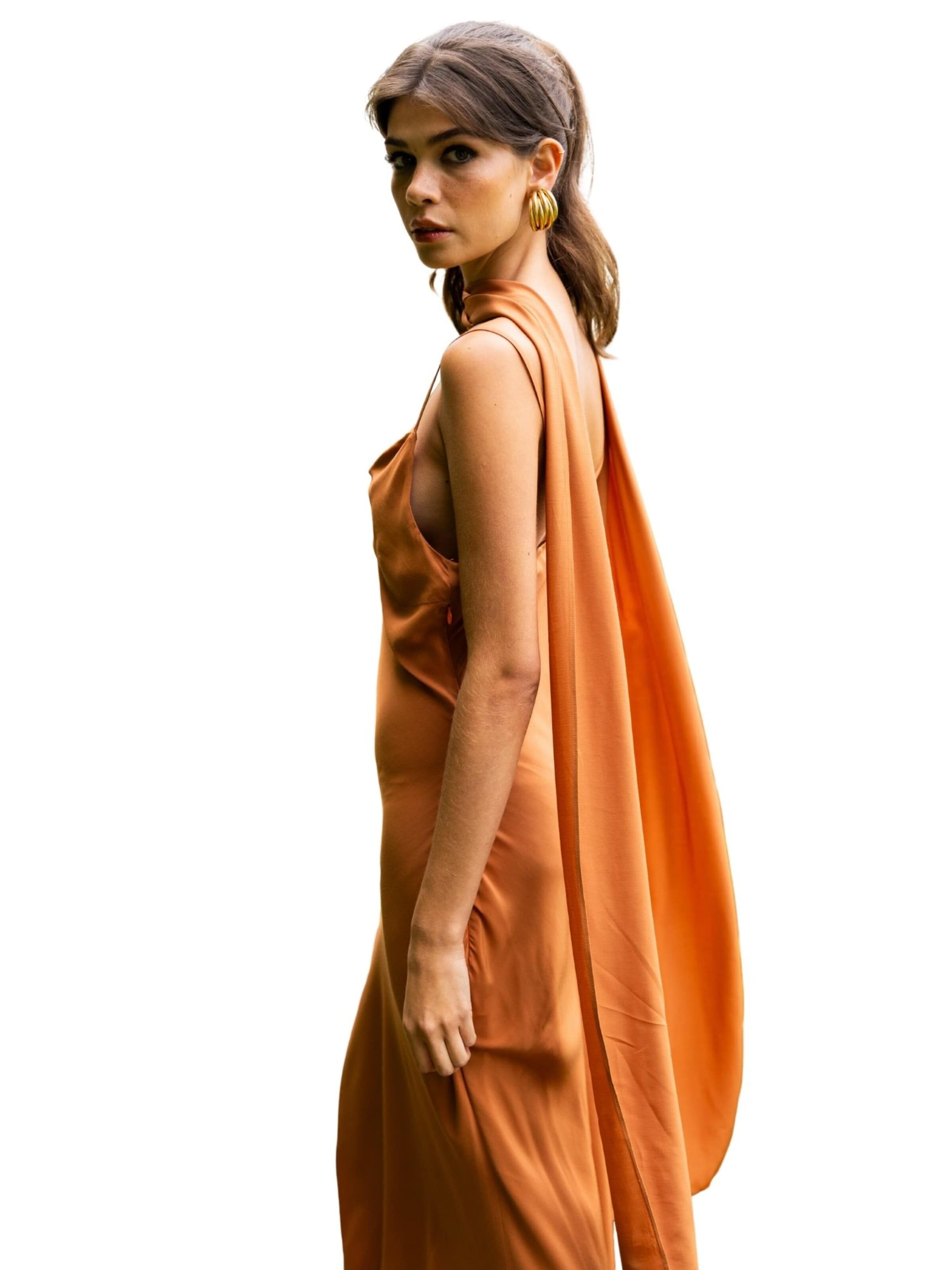 Nisia PartyWear Рокля за коктейл 'Tangalle Dress' в оранжево