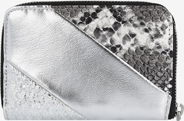 Desigual Wallet in Silver: front