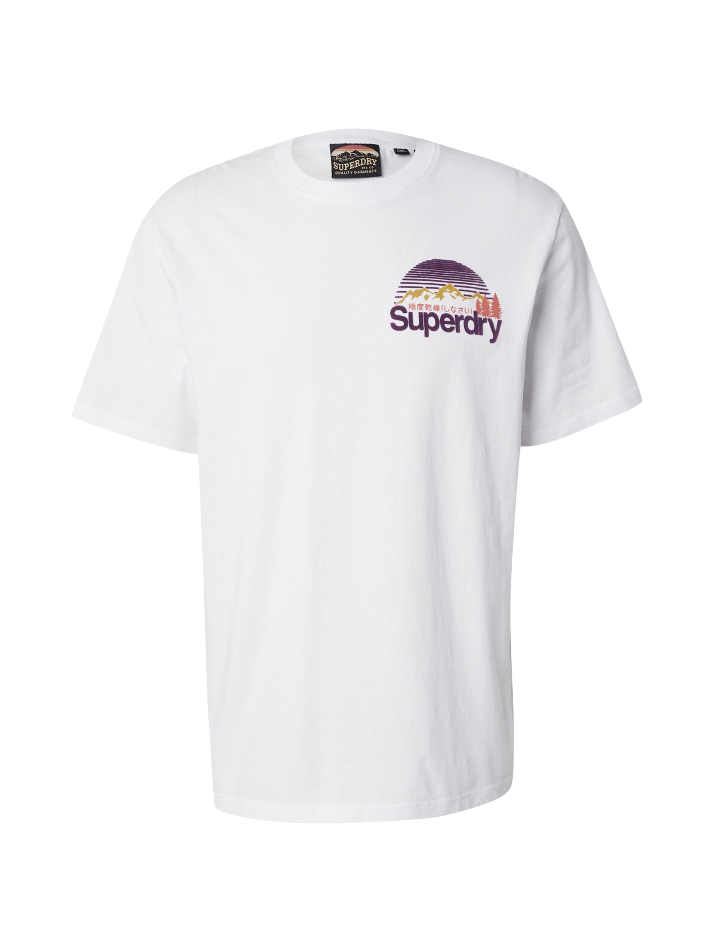 Maglietta 'Great Outdoors' di Superdry in bianco: frontale