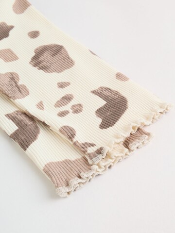 Next Комплект в Коричневый