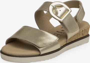 Sandalo con cinturino di VITAFORM in oro: frontale