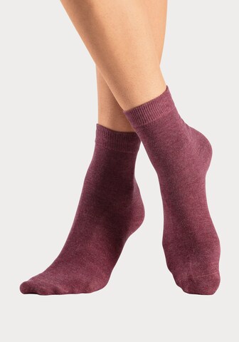 LASCANA Socks in Purple: front