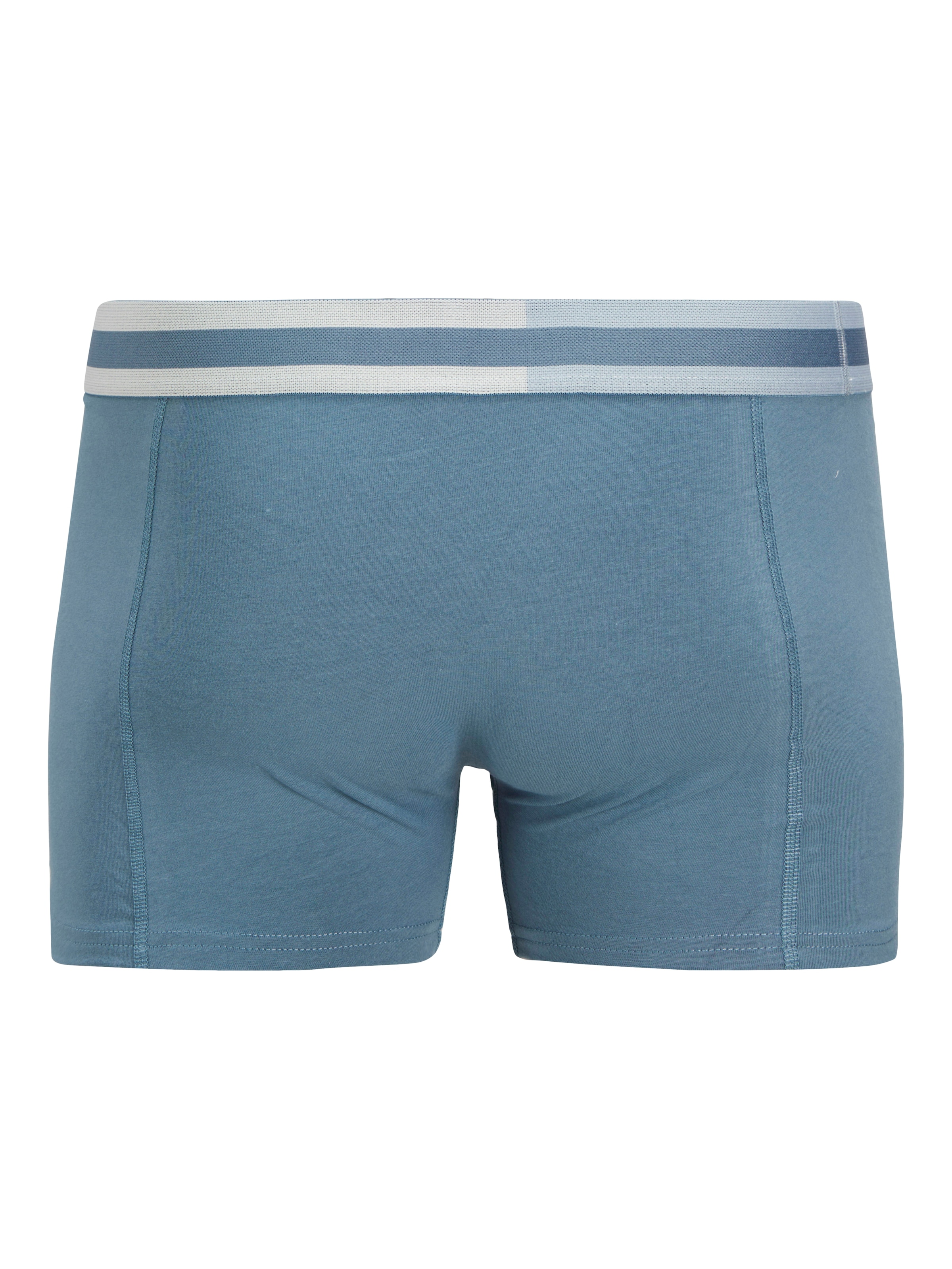 JACK & JONES Boxershorts 'JACSteve' in Blau