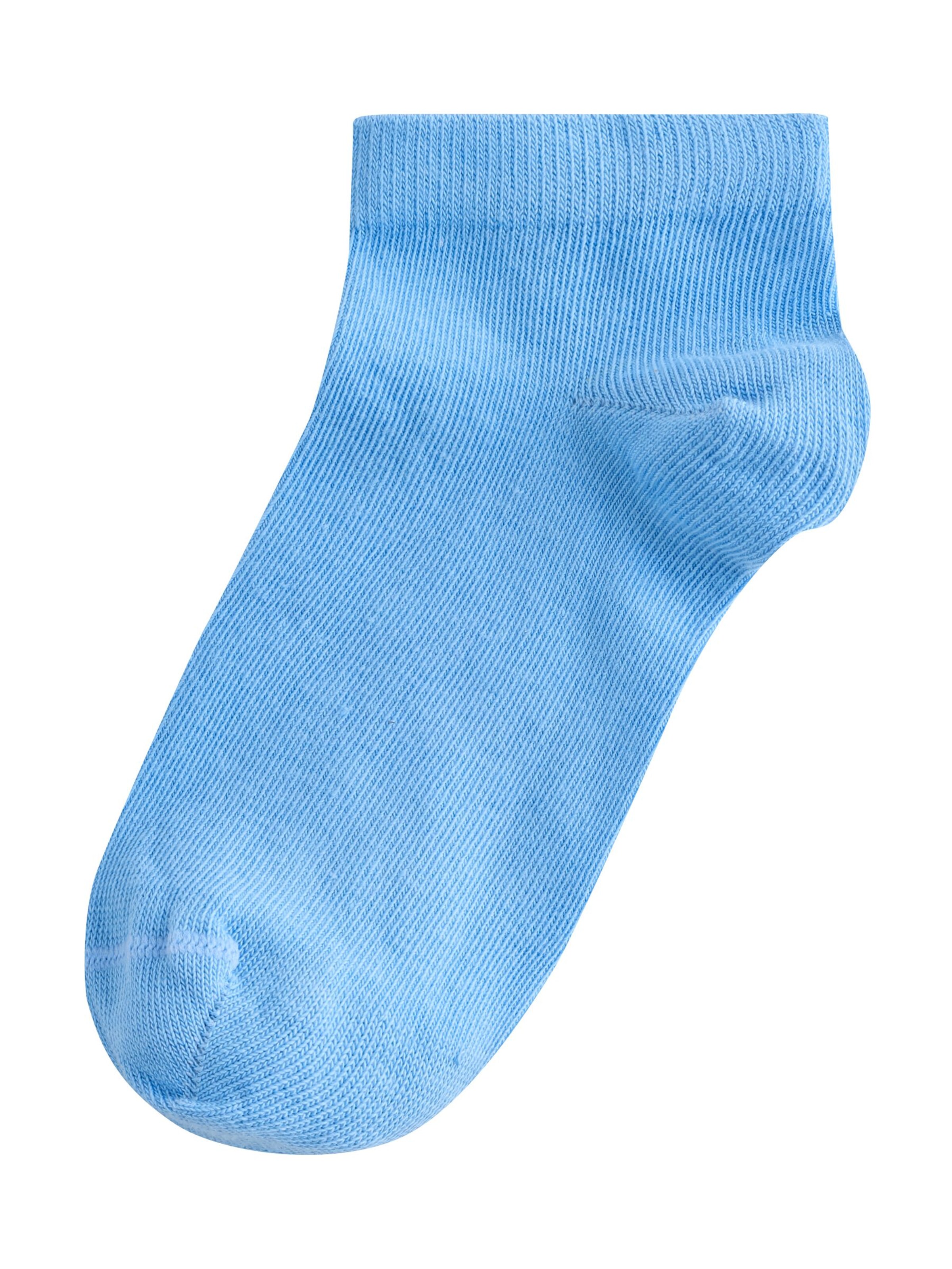 Next Socks in Mixed colours