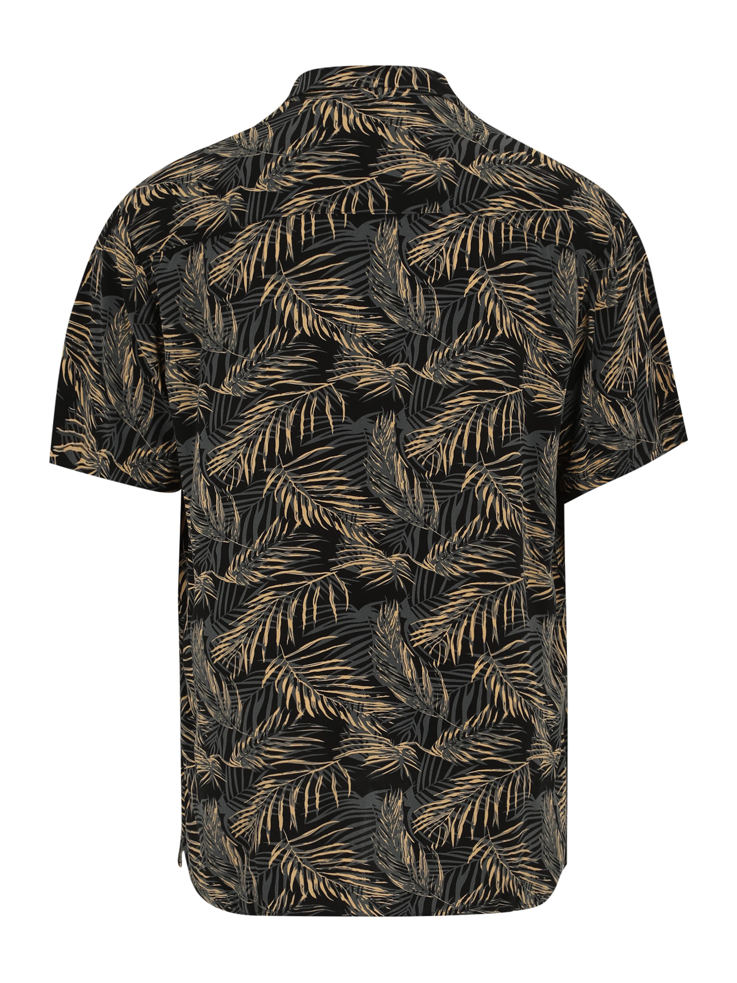 Jack & Jones Plus Regular fit Skjorta 'JJEJeff Tropical' i svart