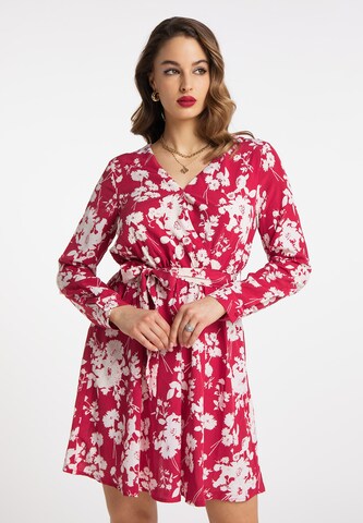 faina Dress in Red: front