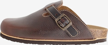 DR. BRINKMANN Clogs 'Nerpio' in Bruin: voorkant