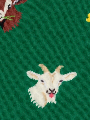 DillySocks Socken in Mischfarben
