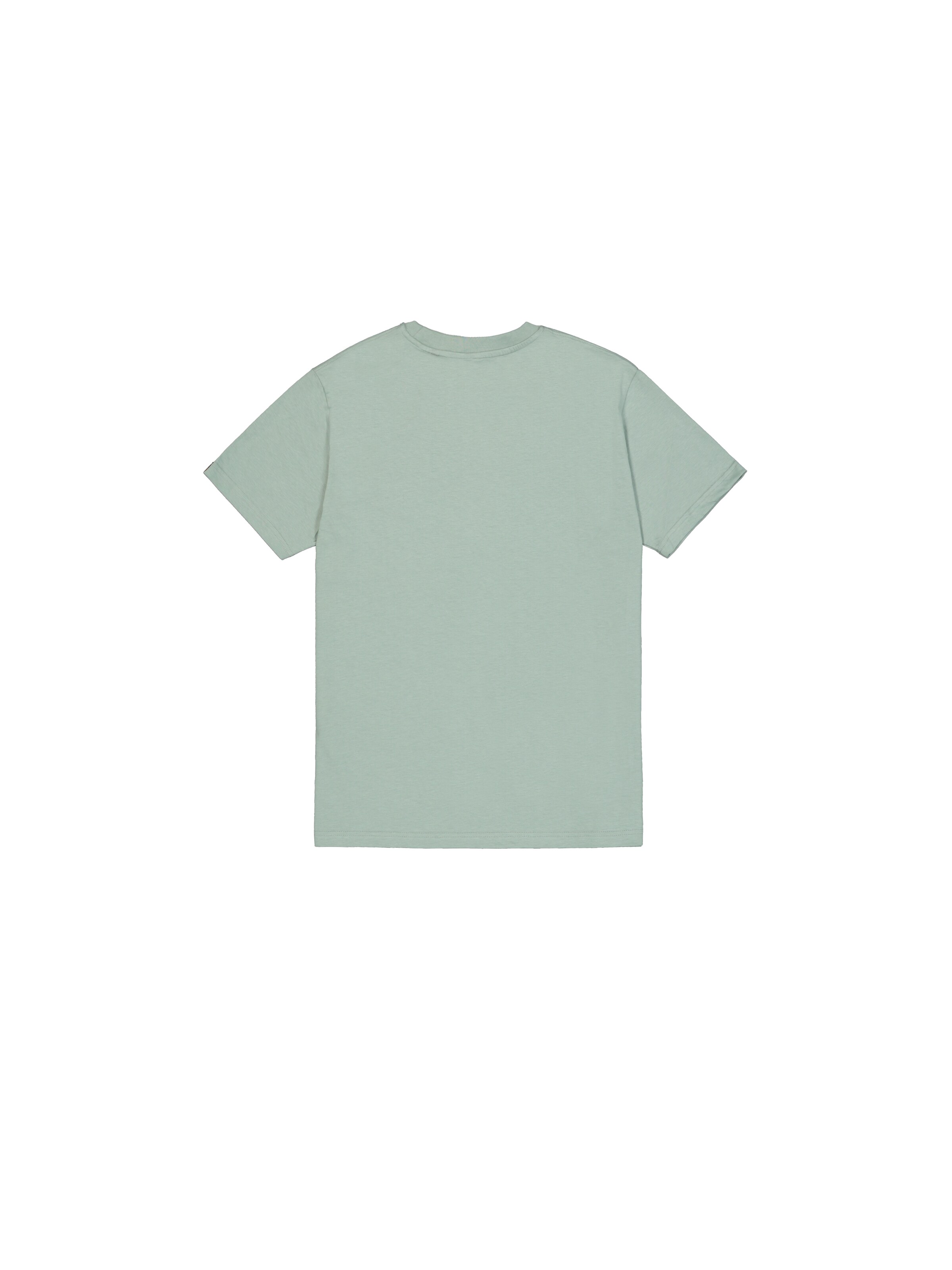 Maglietta di ALPHA INDUSTRIES in verde