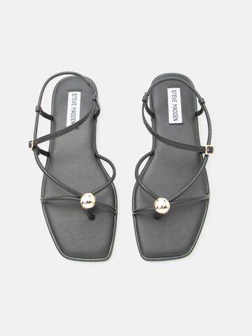 STEVE MADDEN Σαγιονάρες διχαλωτές 'Tiki' σε μαύρο