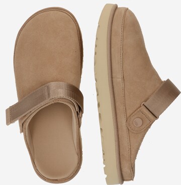 smėlio UGG Klumpės 'Goldenstar'