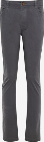 Threadbare Jeans in Grey: front