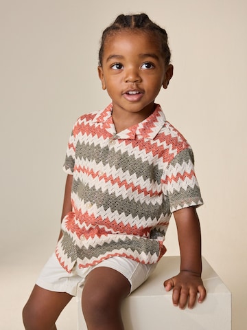 Next Regular fit Overhemd in Gemengde kleuren: voorkant