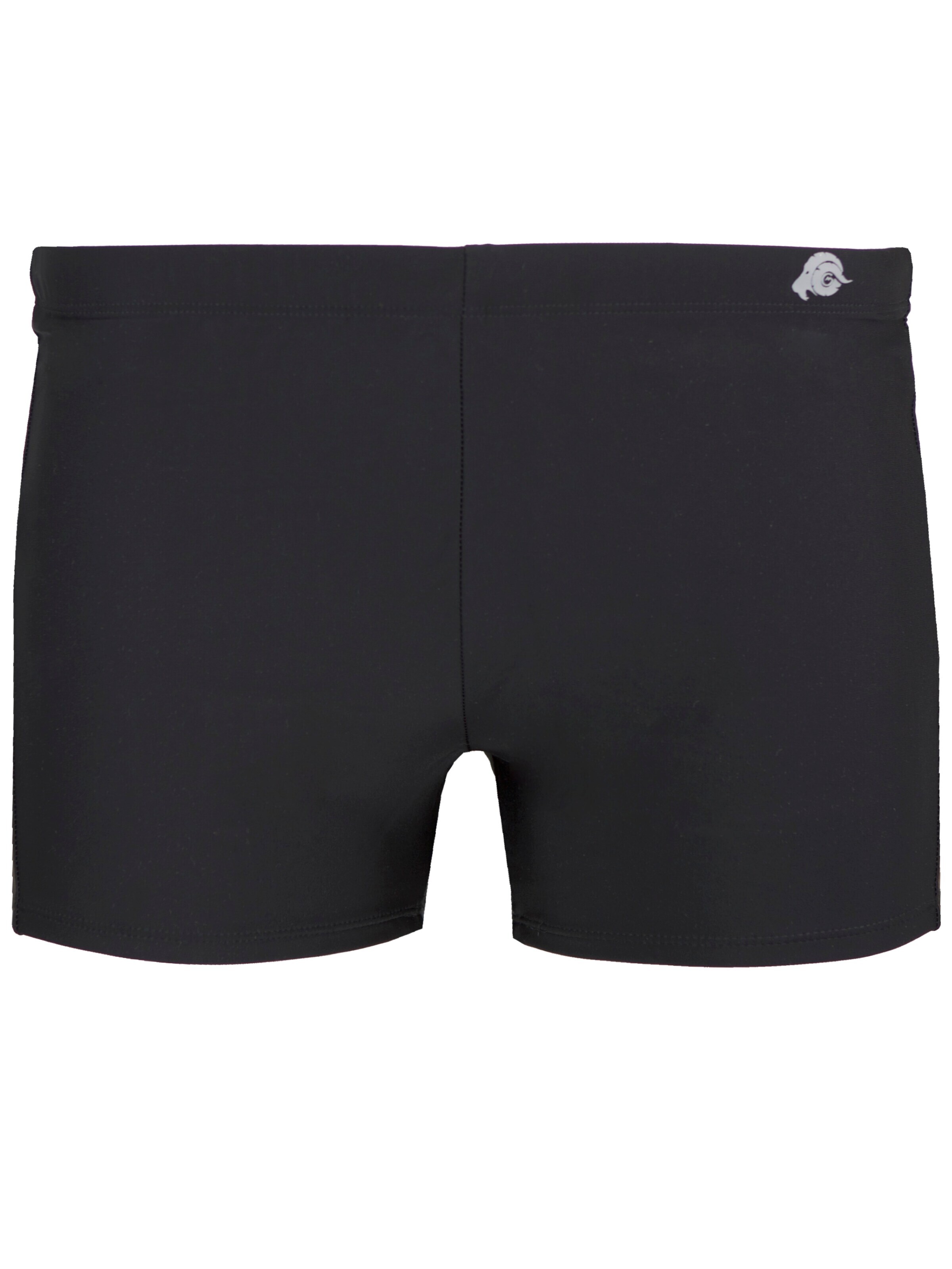 Guggen Mountain Badeshorts 'Badehose TS5-6'‌‌‌‌‌‌‌‌ in Blau