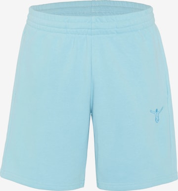 CHIEMSEE Regular Pants ' mit elastischem Bund ' in Blue: front