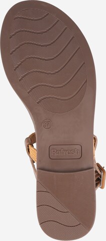 Refresh T-Bar Sandals in Brown