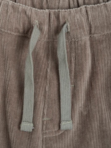 Chicco Tapered Broek in Bruin