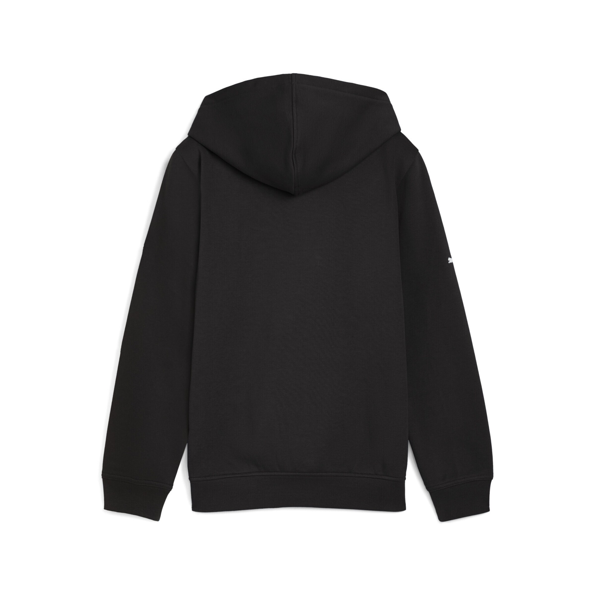 PUMA Regular Sweatshirt 'BMW M Motorsport' in Schwarz