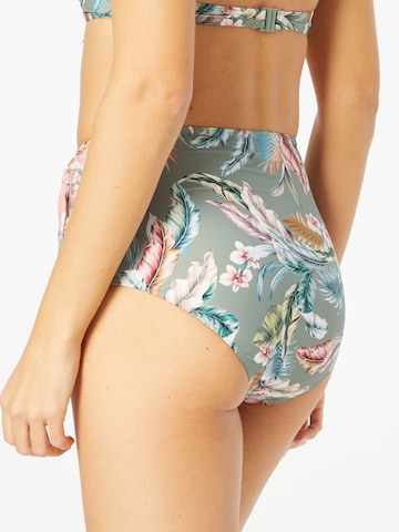 Pantaloncini per bikini 'Malibu' di ESPRIT in verde