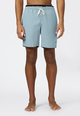 Champion Board Shorts in Blue: front