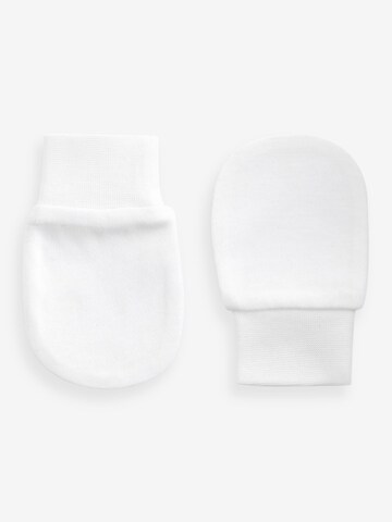 Next Gloves in Blue