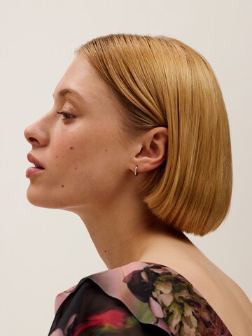 Ted Baker Серьги в Серебристый: спереди
