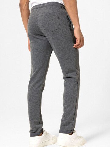 Williot Tapered Pants 'Esteban' in Grey