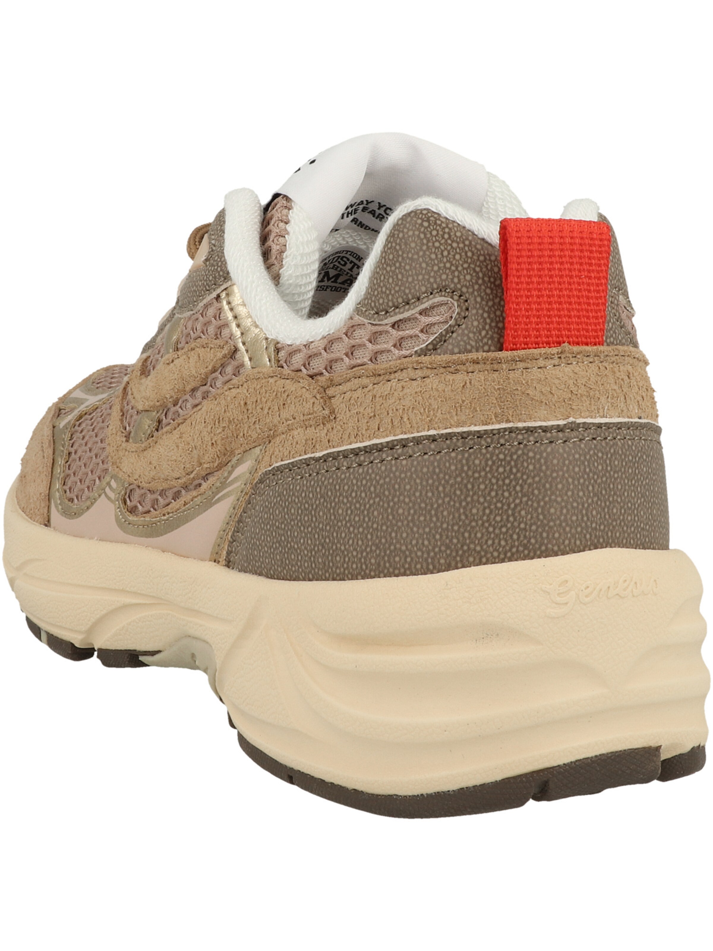 Baskets basses 'Embo' GENESIS en marron