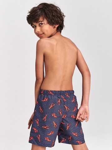 Shiwi Board Shorts in Blue