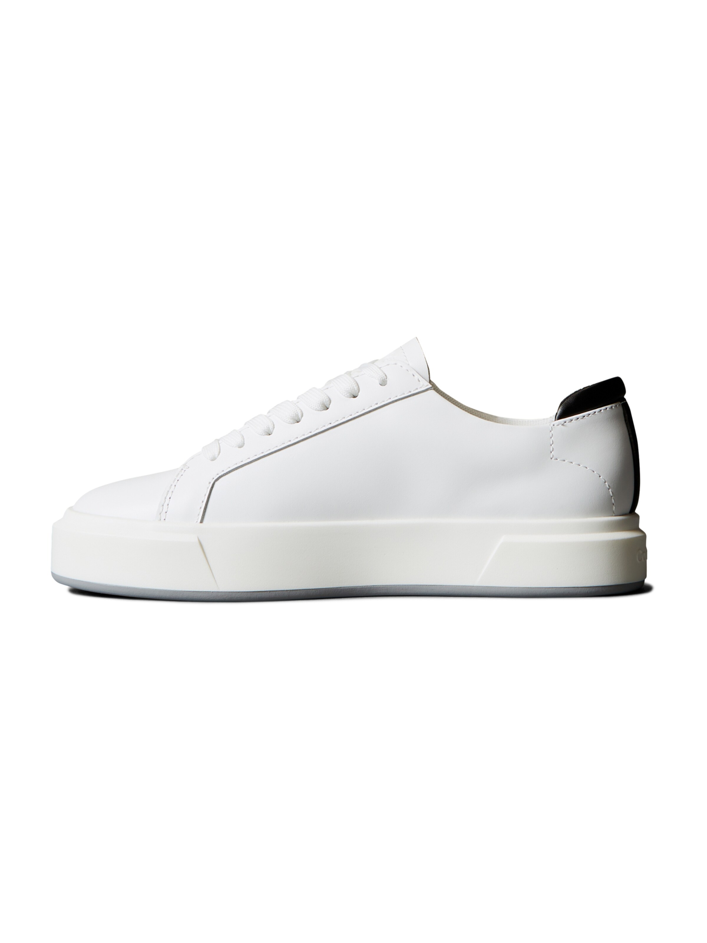 Baskets basses Calvin Klein en blanc