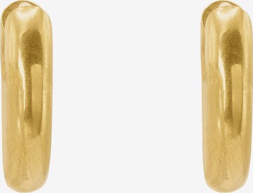 Heideman Earrings 'Norban' in Gold