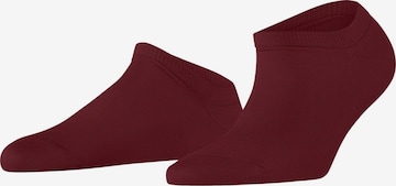 FALKE Füßlinge 'Active Breeze' in Rot: Vorderseite
