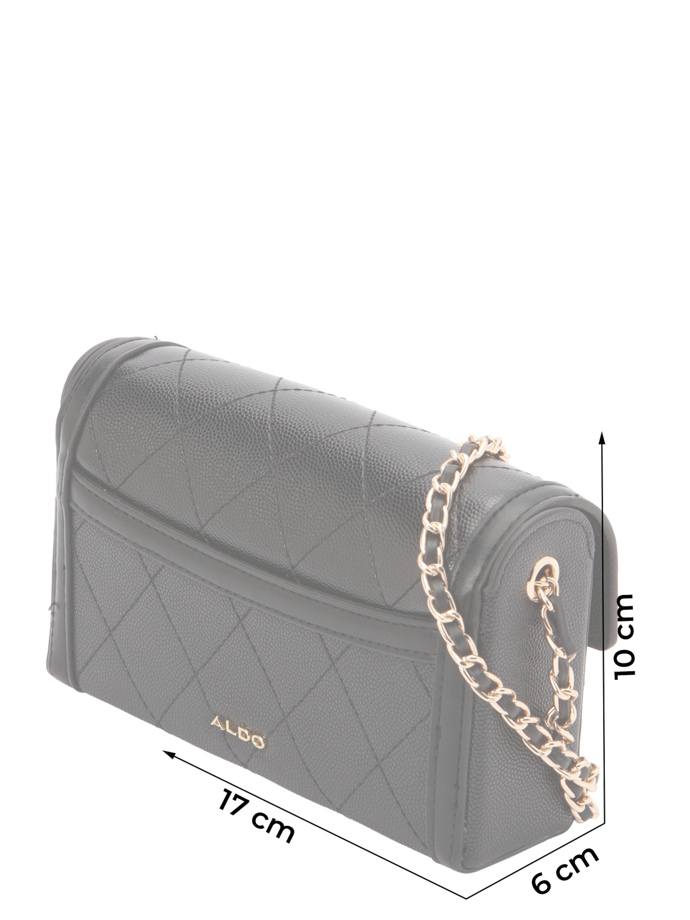 ALDO Torba za čez ramo 'ZOEMINI' | črna barva