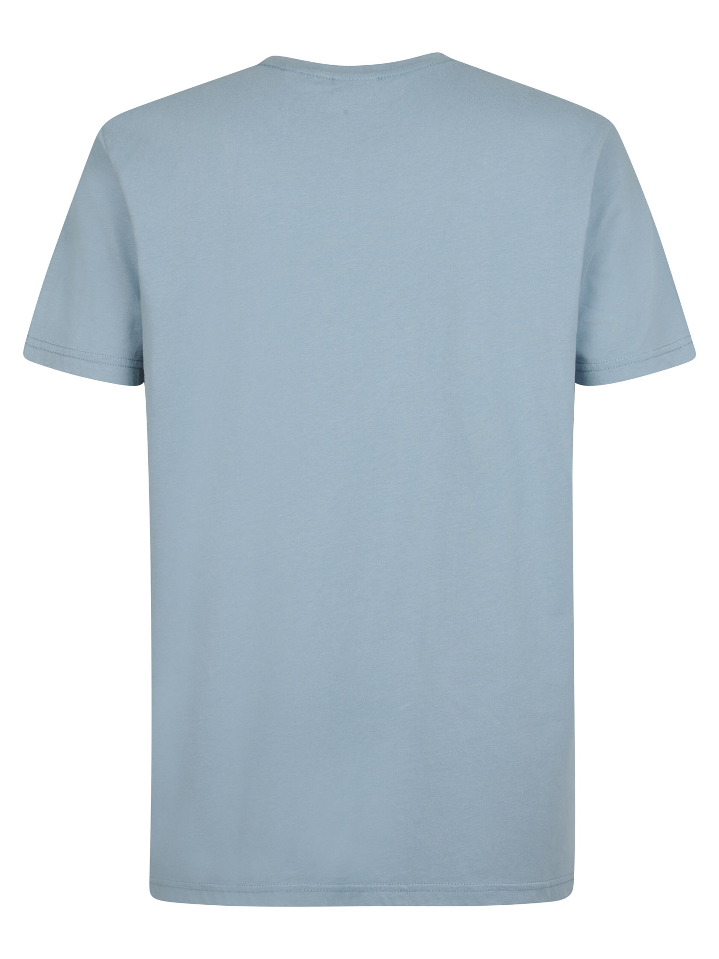 Petrol Industries Shirt in Mischfarben