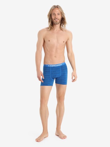 ICEBREAKER Sports underpants 'Anatomica' in Blue