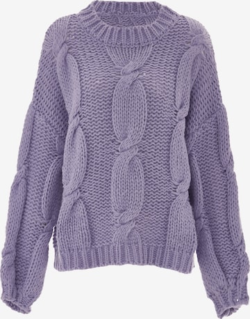 ebeeza Trui in Lila: voorkant