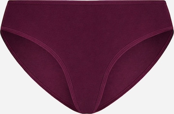 Albero Natur Slip 'Klassischer Bio-Baumwoll Damen Slip' in Lila: Vorderseite