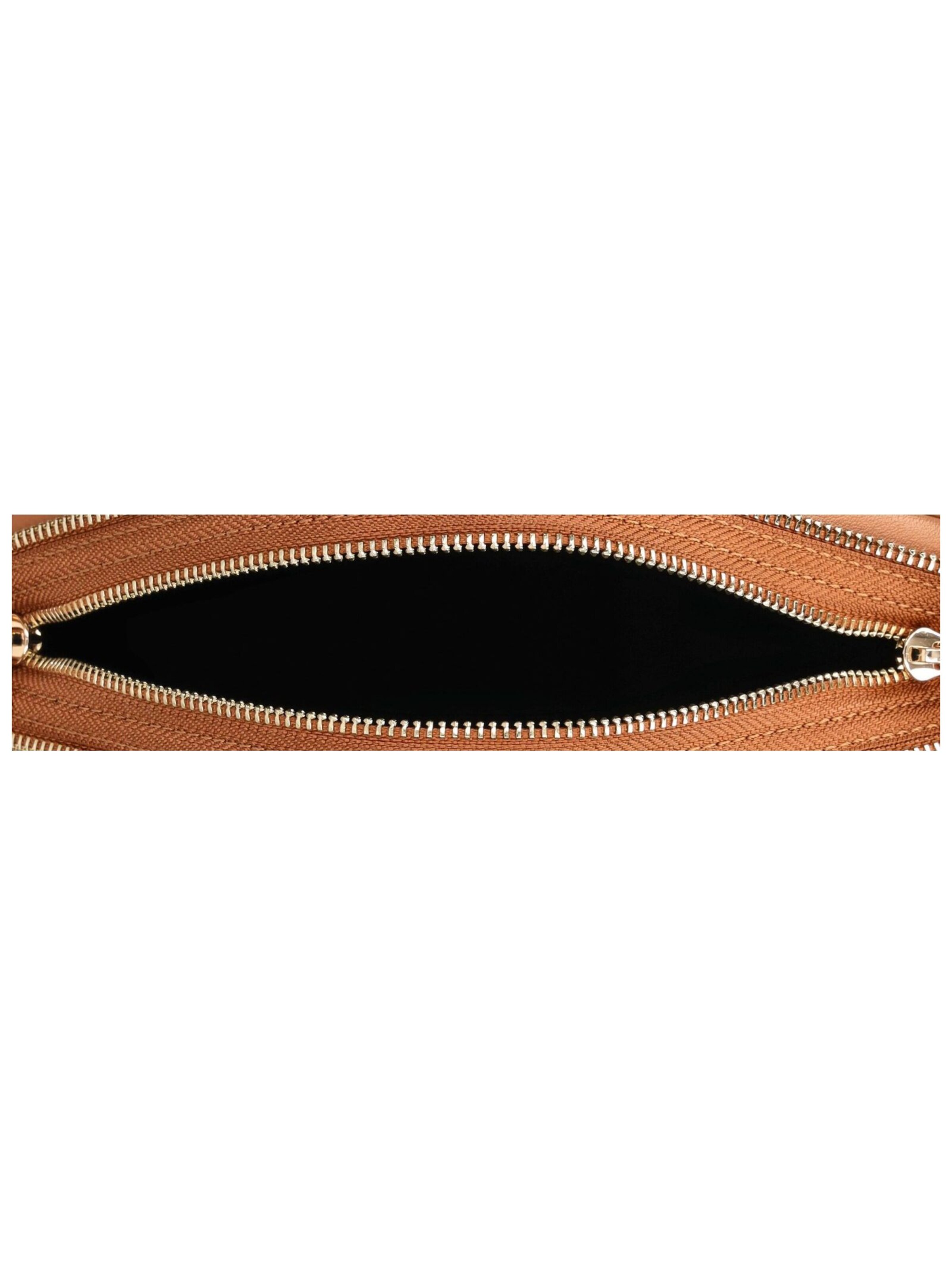 REPLAY Crossbody Bag in Brown
