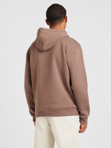 HOLLISTER Sweatshirt in Braun