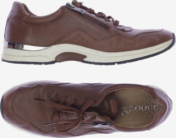 CAPRICE Sneakers & Trainers in 42 in Brown: front